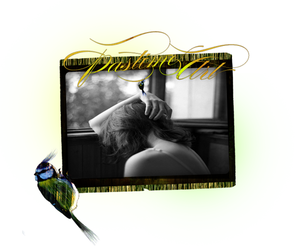 2620530_prevrolprluepigrafdizain (600x500, 211Kb)