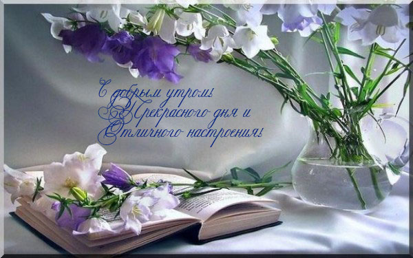 http://img0.liveinternet.ru/images/attach/c/5/85/619/85619630_dobroe_utro.jpg