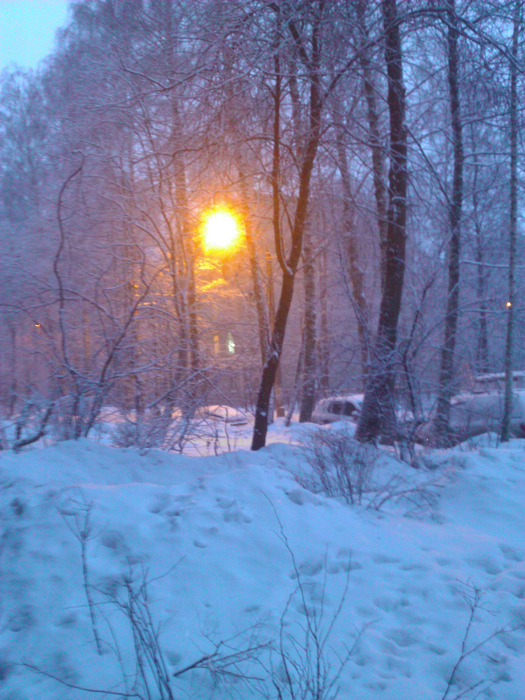 WP_000211 (525x700, 563Kb)