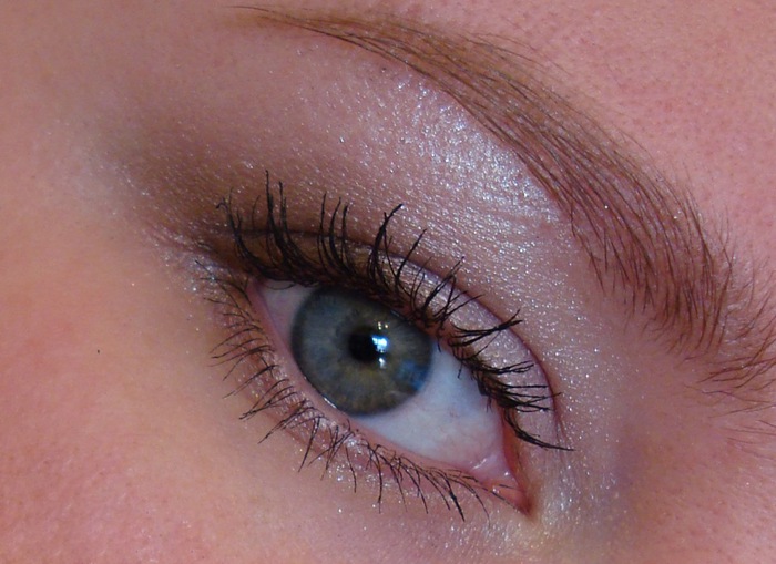 1407042_DSC09933 (700x509, 99Kb)