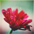 16 (120x120, 29Kb)