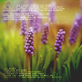 18 (120x120, 37Kb)