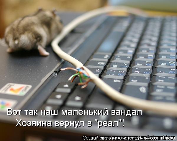 http://img0.liveinternet.ru/images/attach/c/5/85/653/85653580_2.jpg