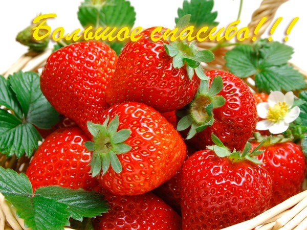 120791581-(1).png (600x450, 111Kb)