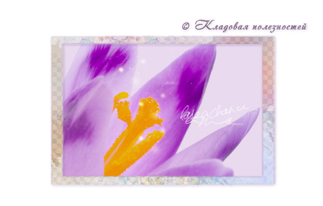Preview_spring (470x300, 126Kb)