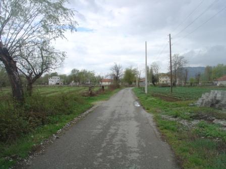 DSC08081 (448x336, 33Kb)