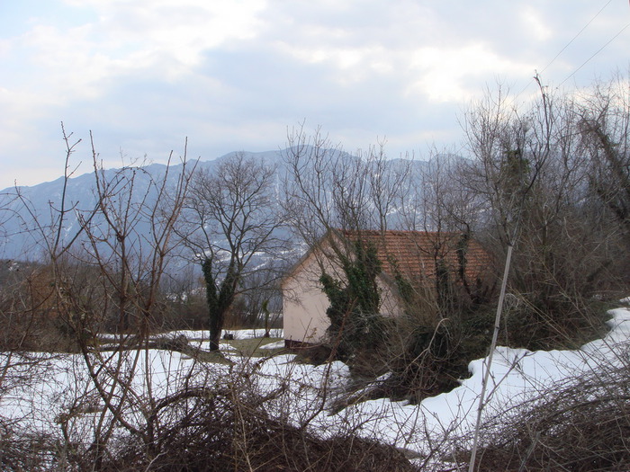 DSC09386 (700x525, 154Kb)