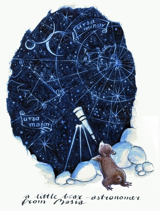 a_bear_astronomer_for_Mikka_by_Basia_AlmostTheBrave (529x700, 249Kb)