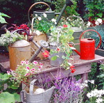  vintage-garden-pots1-3 (500x495, 104Kb)