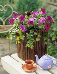  vintage-garden-pots5-6 (465x600, 102Kb)