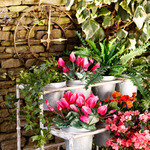  vintage-garden-pots6-2 (550x550, 182Kb)