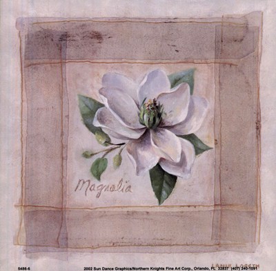 magnolia-by-lanie-loreth (400x393, 40Kb)