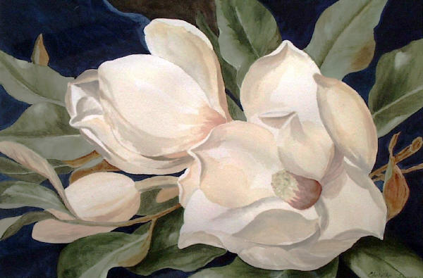 Magnolias (2) (600x395, 41Kb)