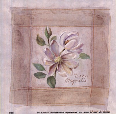 tree-magnolia-by-lanie-loreth-123409 (400x395, 40Kb)