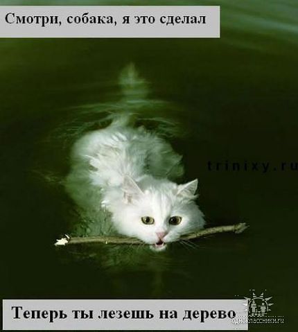 securedownload (4) (430x479, 22Kb)