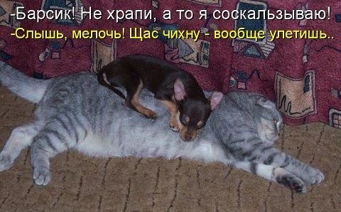 securedownload (22) (480x298, 39Kb)