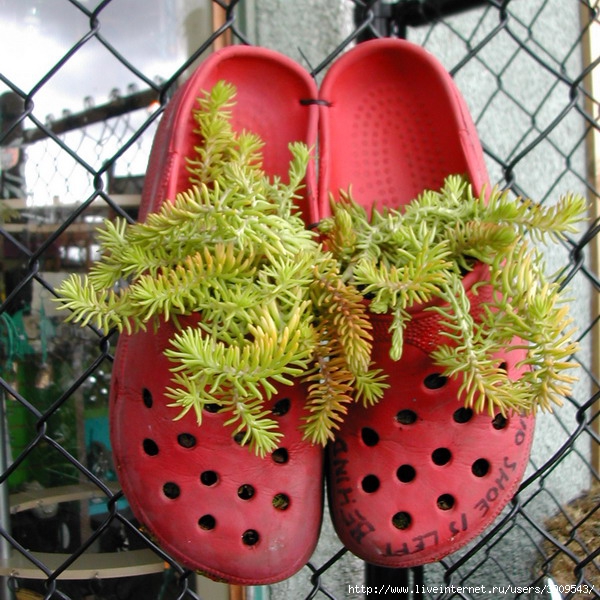 shoes-container-garden1-3[1] (600x600, 268Kb)