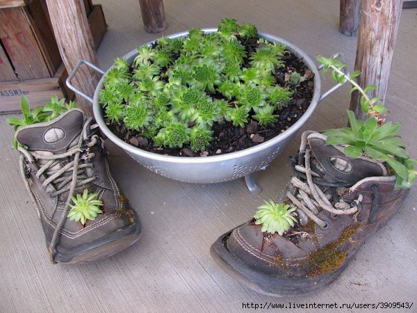 shoes-container-garden4-4[1] (600x450, 225Kb)