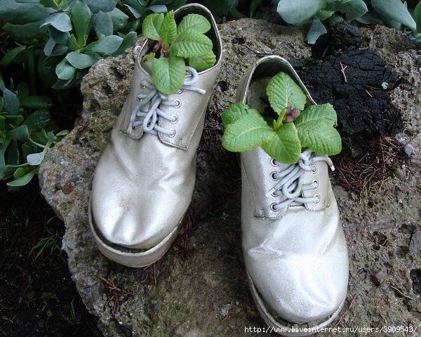 shoes-container-garden5-3[1] (600x480, 271Kb)