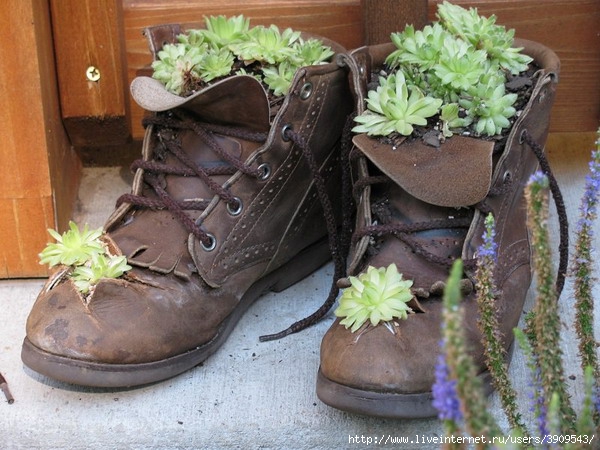 shoes-container-garden5-10[1] (600x450, 203Kb)