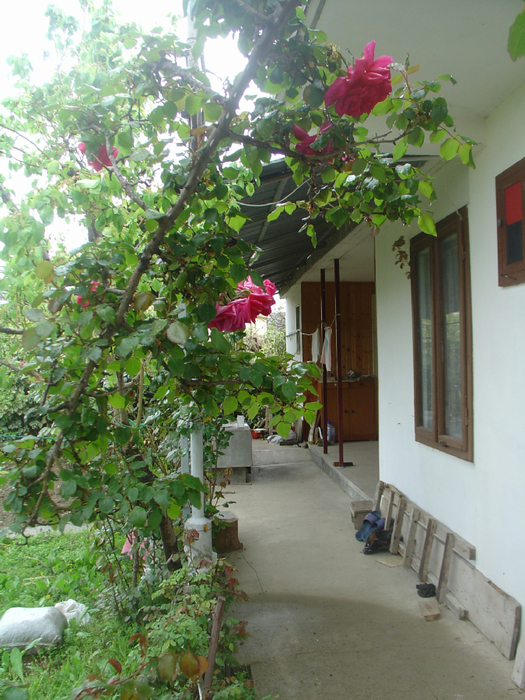 ��� 2 (525x700, 541Kb)