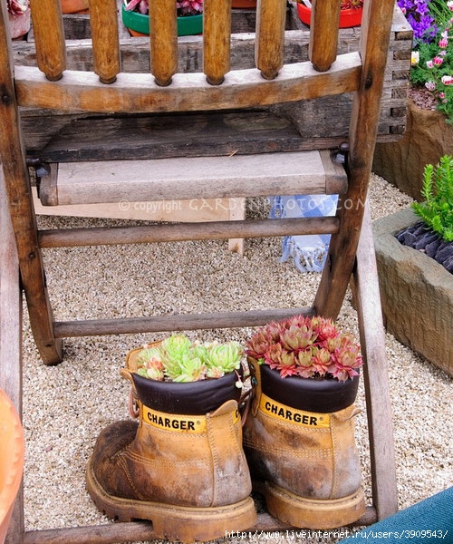 shoes-container-garden5-13[1] (500x600, 299Kb)