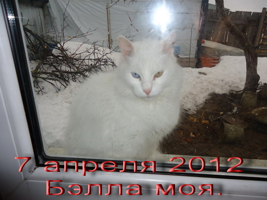   7  2012 (540x405, 80Kb)
