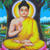 budda11 (100x100, 8Kb)