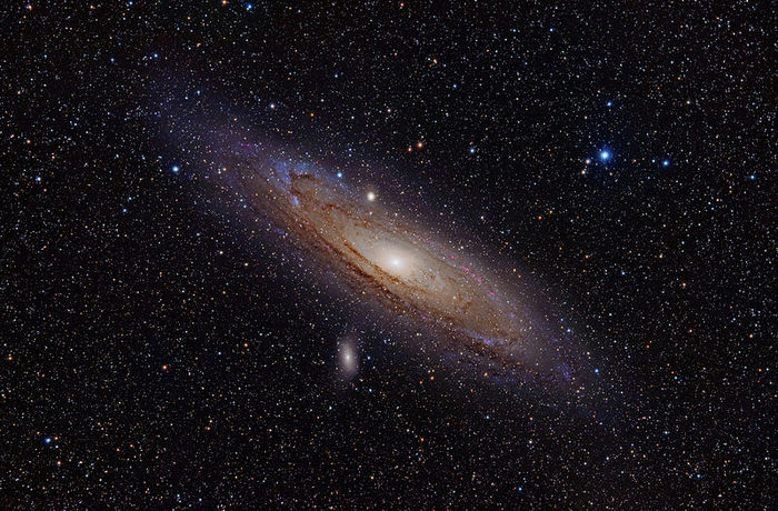 800px-Andromeda_Galaxy_(with_h-alpha) (700x460, 113Kb)