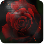 ar (150x150, 31Kb)