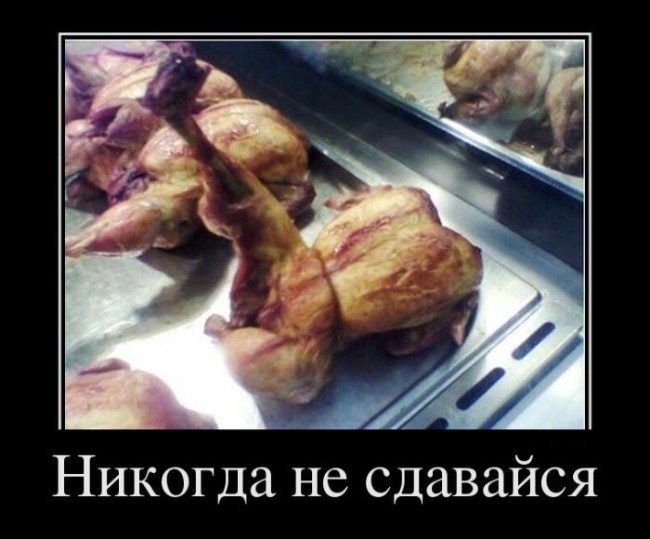thumb_78_c550c631be4b0fb8dd270d97a2b7d1fd (650x539, 64Kb)