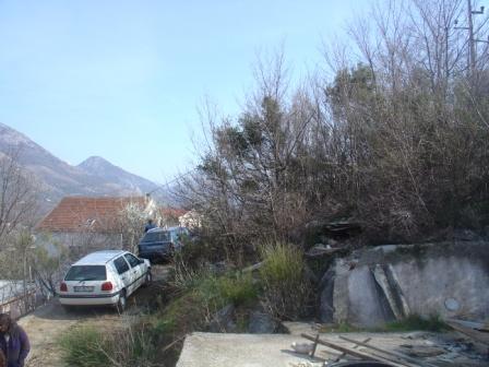 DSC07428 (448x336, 35Kb)