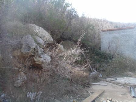 DSC07433 (448x336, 34Kb)