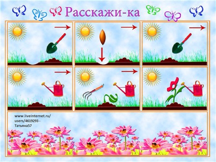 Картинка поливать цветы