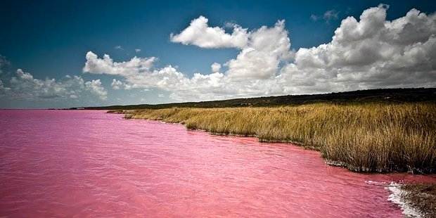 4692251_4934 (620x310, 48Kb)