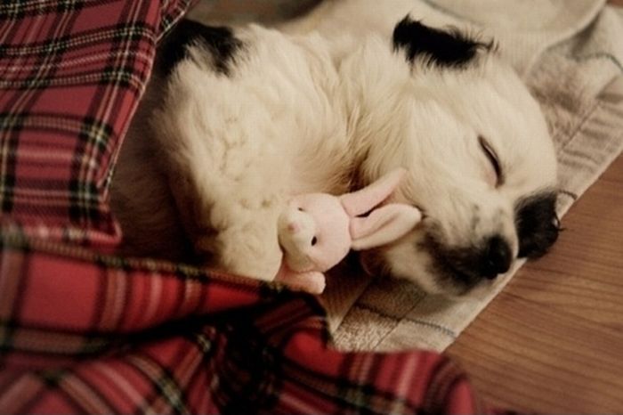pics_032 (700x466, 48Kb)
