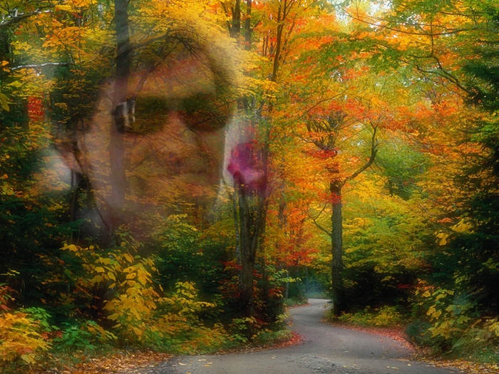 29202732 (700x525, 369Kb)