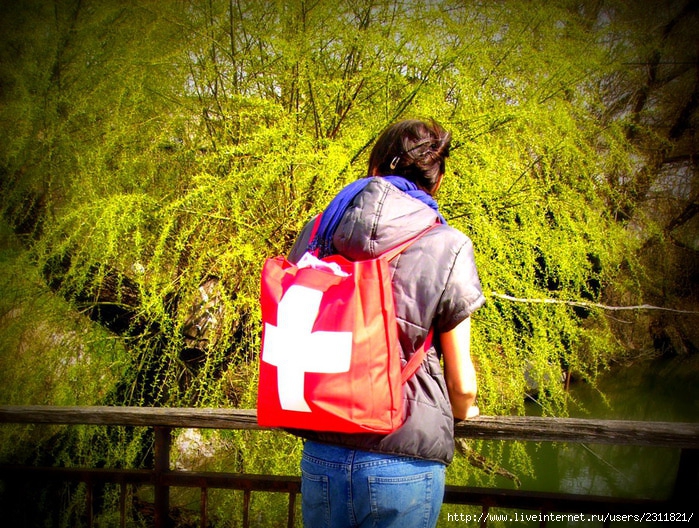 PICT0165 (700x528, 389Kb)
