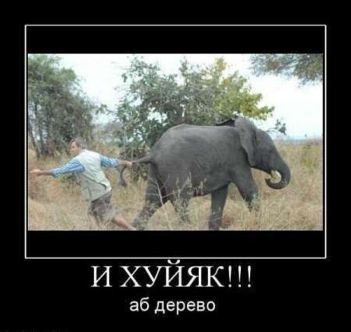 1333434111_demotivatory_20 (700x663, 49Kb)