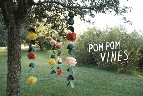 pompomvines-500x335 (500x335, 68Kb)