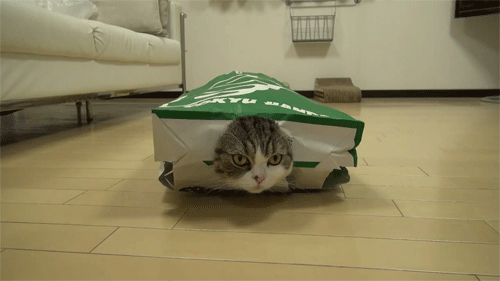 //img0.liveinternet.ru/images/attach/c/5/85/948/85948990_foto42lgif_21.gif