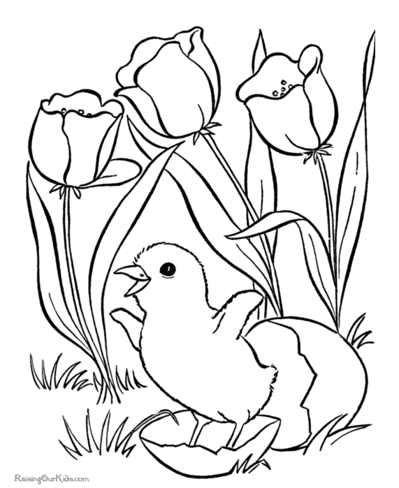 001-easter-flower-coloring-pages (571x700, 73Kb)