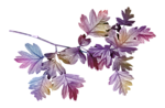 0_a10a8_955f9d97_S.png (150x98, 24Kb)