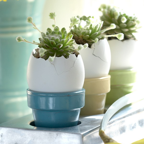 easy-easter-ideas-by-bhg6-8 (600x600, 82Kb)