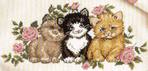  Kitten Trio (698x334, 78Kb)