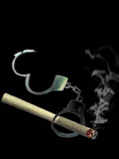 3571750_screensavers_0061 (240x320, 81Kb)