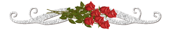 4690170_a5dee5248e11_1_ (550x100, 22Kb)