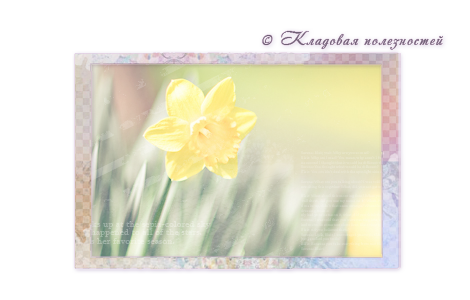 Preview_spring (470x300, 125Kb)