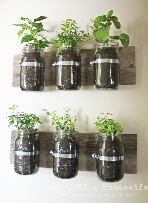 mason-jar-planter-board-747x1024 (511x700, 238Kb)