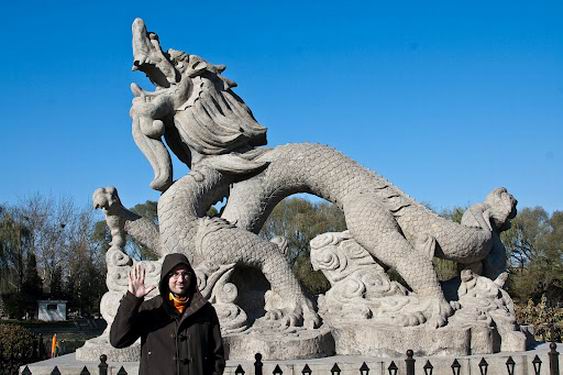 3109898_Drakon_pekin (563x375, 51Kb)